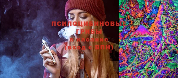 дурь Переславль-Залесский