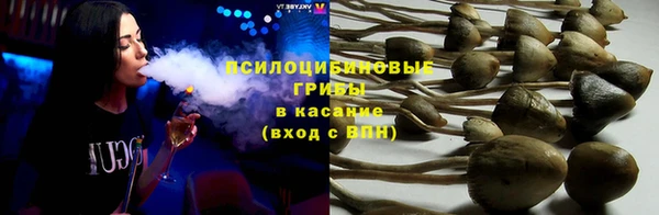 a pvp Пестово