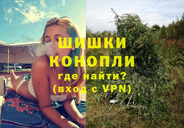 дурь Переславль-Залесский