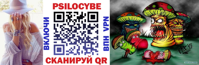 Псилоцибиновые грибы Psilocybe  магазин    Южно-Сухокумск 